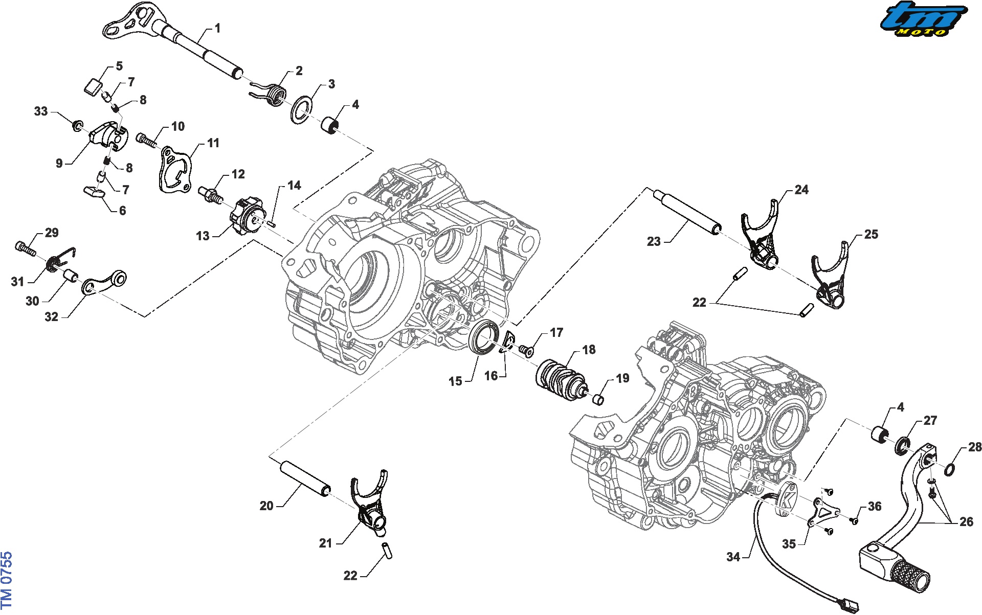 Pièces d'origine pour TM RACING 125 125 2T 125 Fi EN ES 2026 - Boîte et transmission moteur