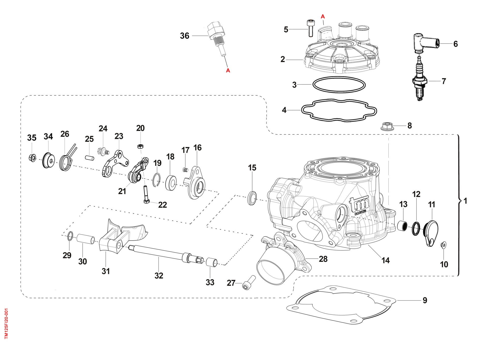 Pièces d'origine pour TM RACING 125 125 2T 125 FI EN 2023 - Cylindre moteur