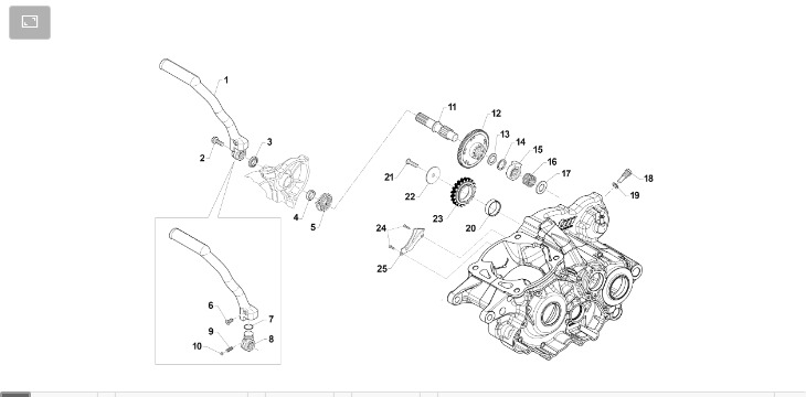 Pièces d'origine pour TM RACING 250 250 2T 250 Fi EN 2021 - Levier de démarrage
