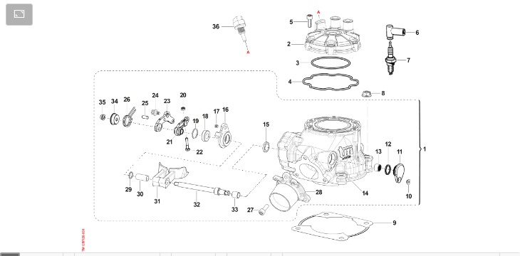 Pièces d'origine pour TM RACING 144 144 2T 144 FI EN 2022 - Cylindre moteur
