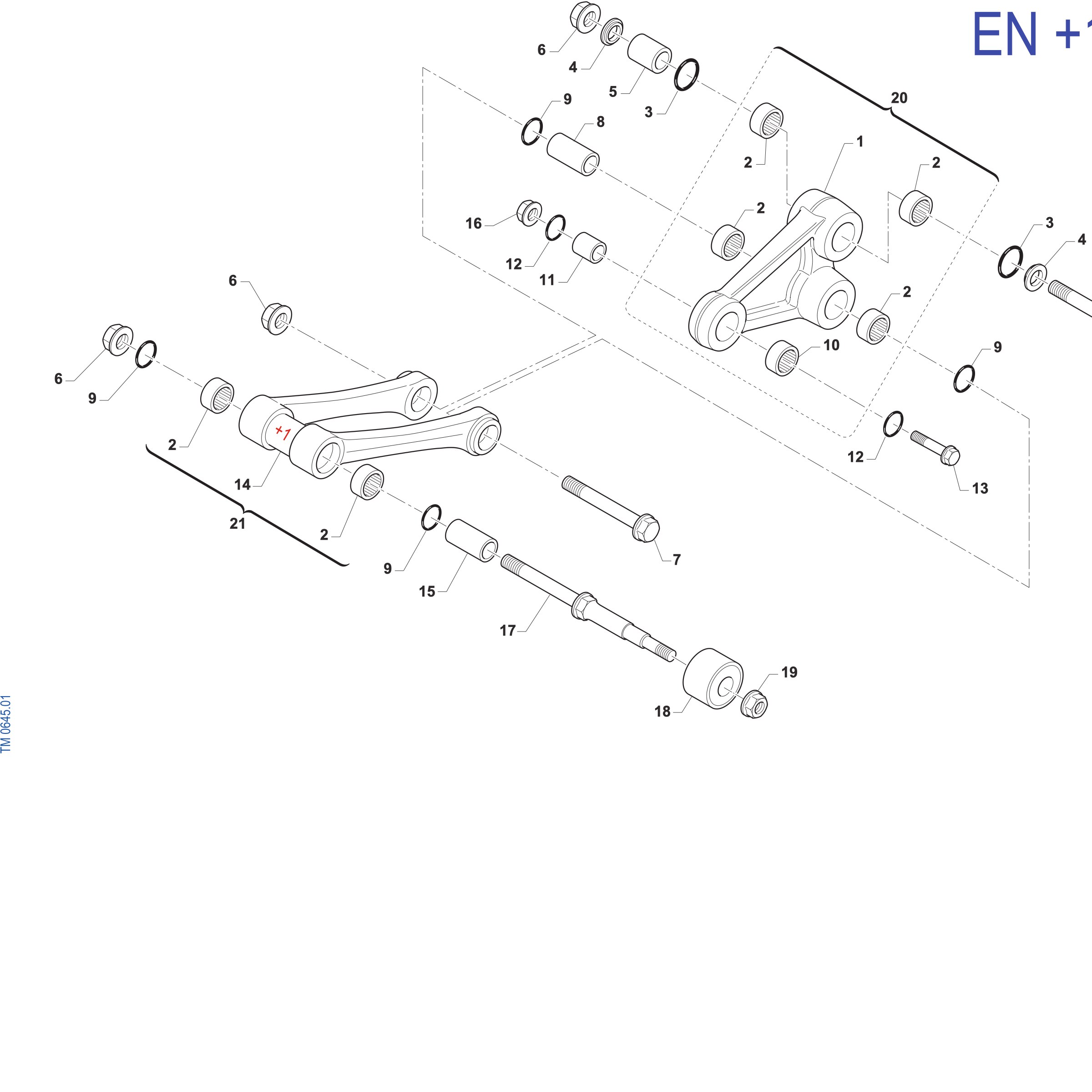 Pièces d'origine pour TM RACING 450 450 4T 450 Fi EN 2027 - Biellettes de suspension EN +1