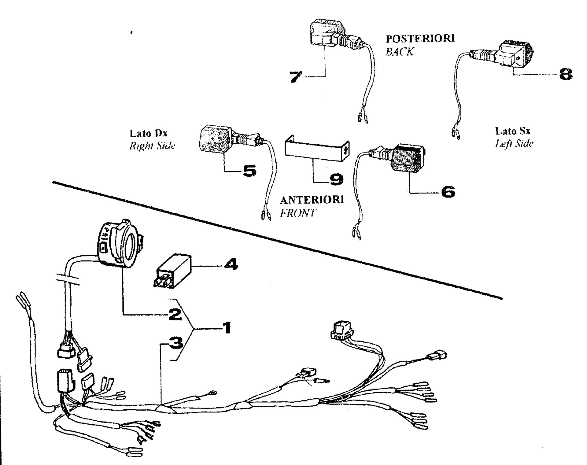 Pièces d'origine pour TM RACING 80 80 80 2 Temps MX/EN 2001 - Faisceau d'éclairage