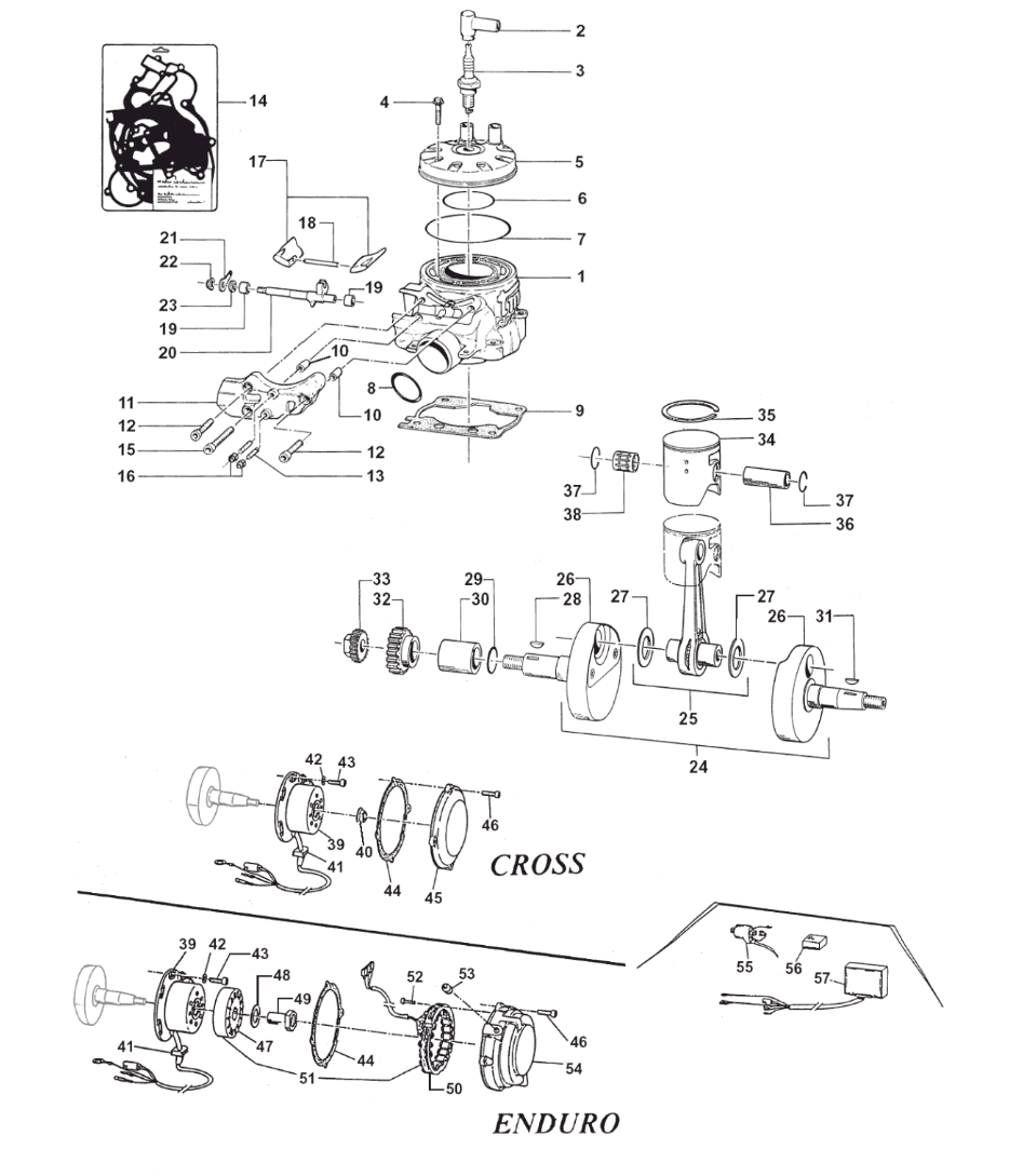 Pièces d'origine pour TM RACING 125 125 125 2 Temps MX/EN 2005 - Cylindre moteur